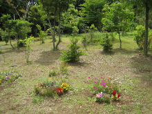 Shinkou Temple