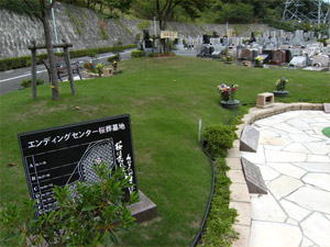すぐに完売した樹木葬