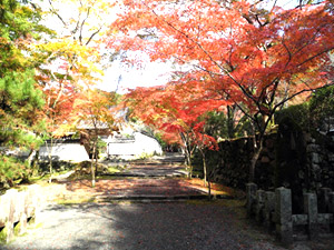神峯山寺