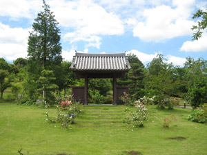 真光寺山門