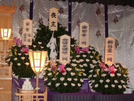 供花（菊）