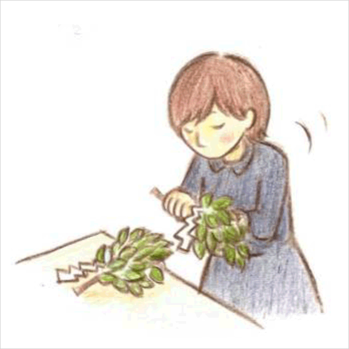 玉串奉奠の作法2