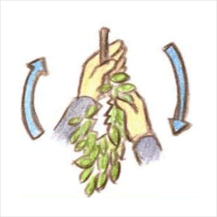 玉串奉奠の作法4