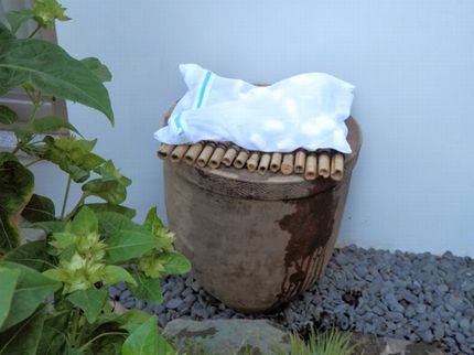 洗骨の手順3