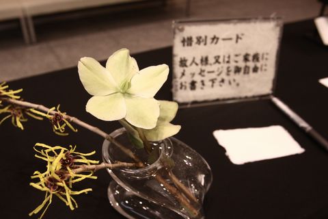 花心
