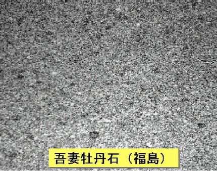 吾妻牡丹石（福島県産）